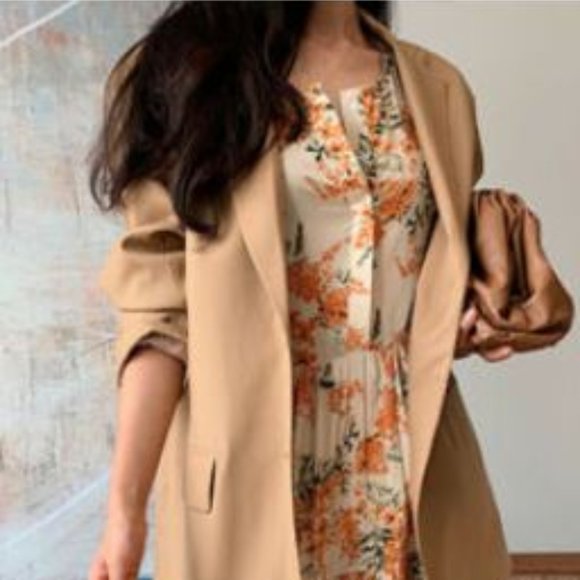 the angel dress zara